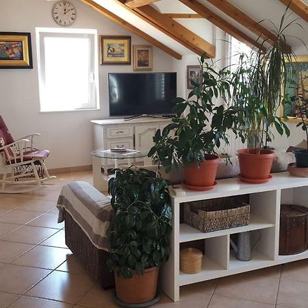 Apartment Varina Dubrovnik Ngoại thất bức ảnh